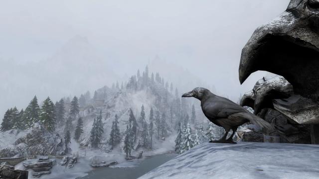 Edmond's Nature Series - BIRDS для Skyrim SE-AE