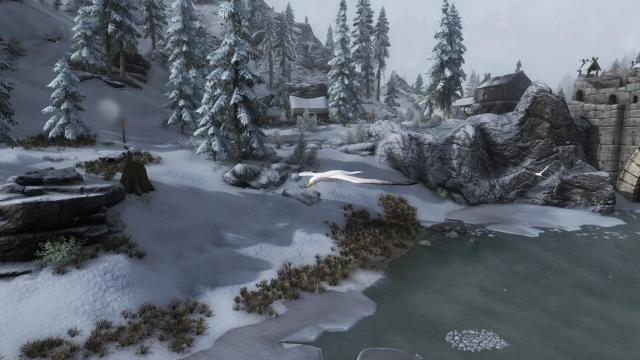 Edmond's Nature Series - BIRDS для Skyrim SE-AE