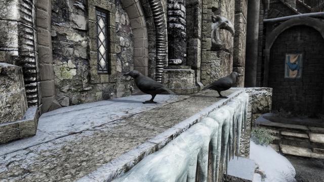 Edmond's Nature Series - BIRDS для Skyrim SE-AE