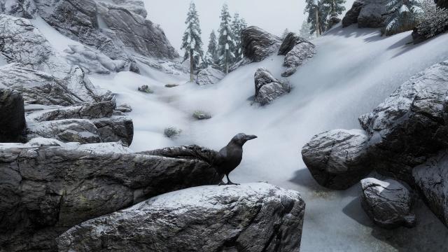 Edmond's Nature Series - BIRDS для Skyrim SE-AE