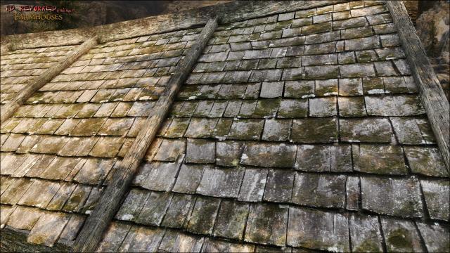 HD    HD Reworked Farmhouses 4K for Skyrim SE-AE