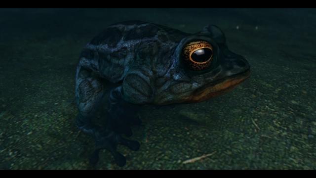 Frogs- Mihail Monsters and Animals (SE-AE version) для Skyrim SE-AE