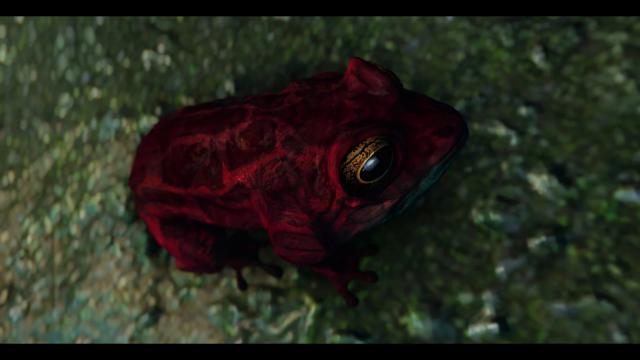 Frogs- Mihail Monsters and Animals (SE-AE version) для Skyrim SE-AE