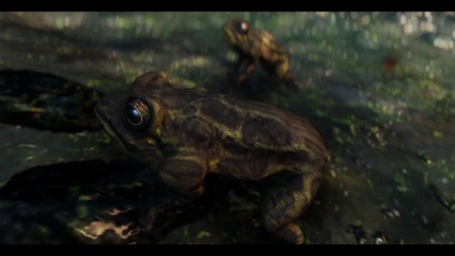 Frogs- Mihail Monsters and Animals (SE-AE version) для Skyrim SE-AE