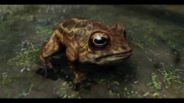 Frogs- Mihail Monsters and Animals (SE-AE version) для Skyrim SE-AE