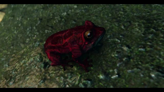 Frogs- Mihail Monsters and Animals (SE-AE version) для Skyrim SE-AE