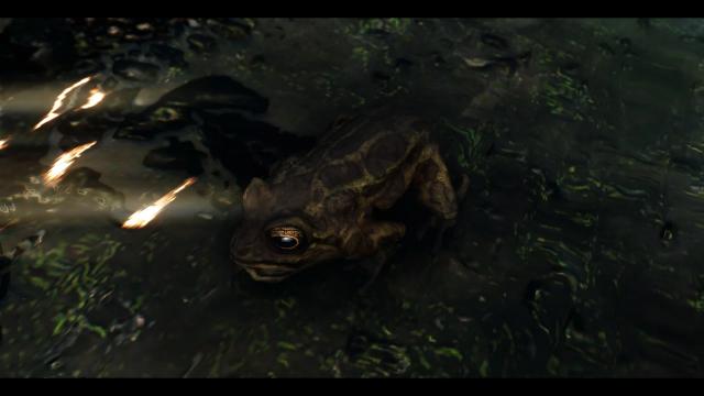 Frogs- Mihail Monsters and Animals (SE-AE version) для Skyrim SE-AE