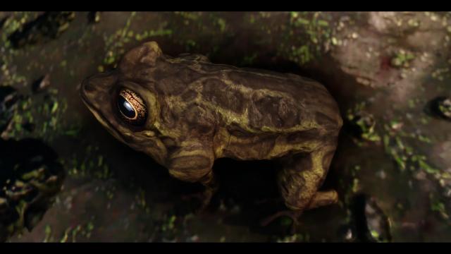 Frogs- Mihail Monsters and Animals (SE-AE version) для Skyrim SE-AE