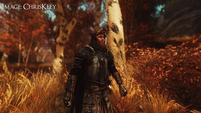 Talos Housecarl Armor Pack for Skyrim SE-AE