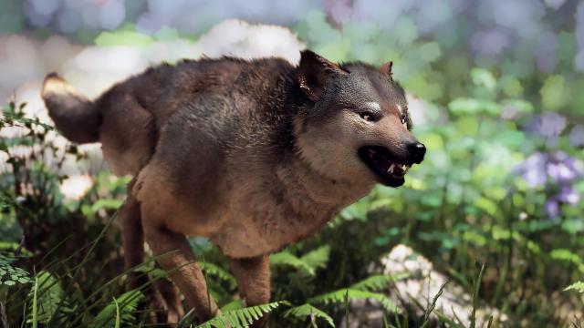 Wolves of Skyrim for Skyrim SE-AE