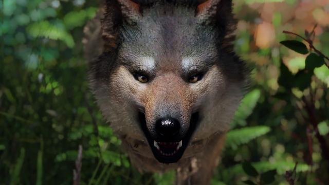 Волки Скайрима / Wolves of Skyrim для Skyrim SE-AE