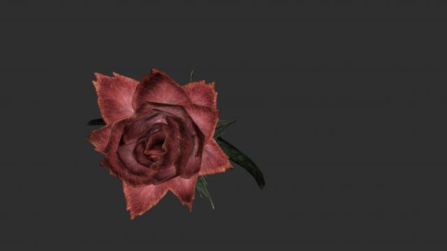 2    2K Sanguine Rose for Skyrim SE-AE