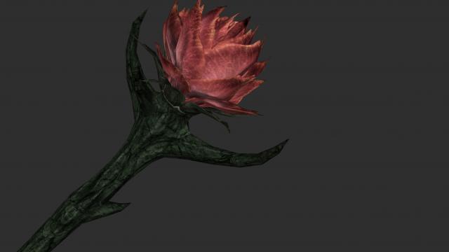 2    2K Sanguine Rose for Skyrim SE-AE