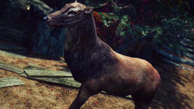 MM - Real Elks for Skyrim SE-AE