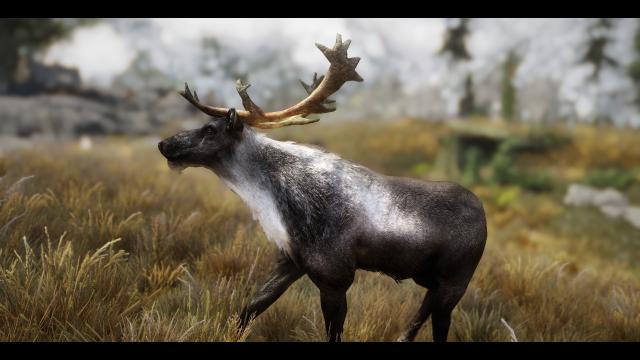 MM - Real Elks for Skyrim SE-AE