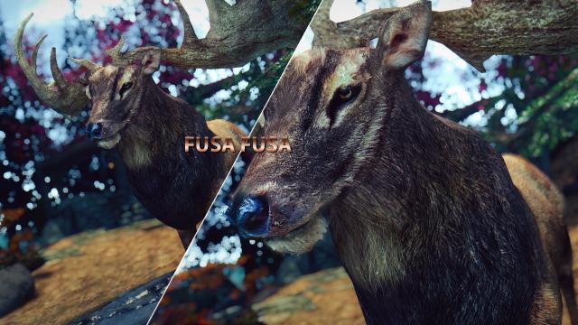 MM - Real Elks for Skyrim SE-AE