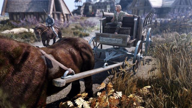 Carriages HD UHD for Skyrim SE-AE