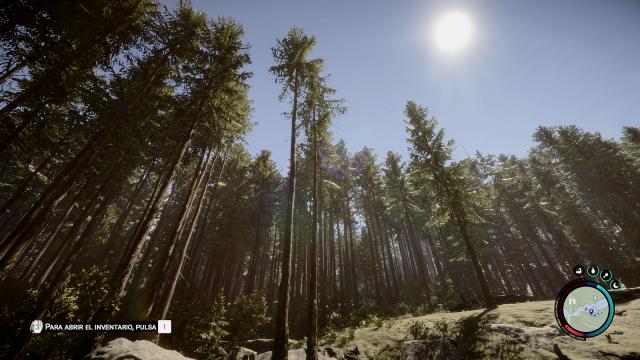 Natural Detailed Reshade for Sons Of The Forest