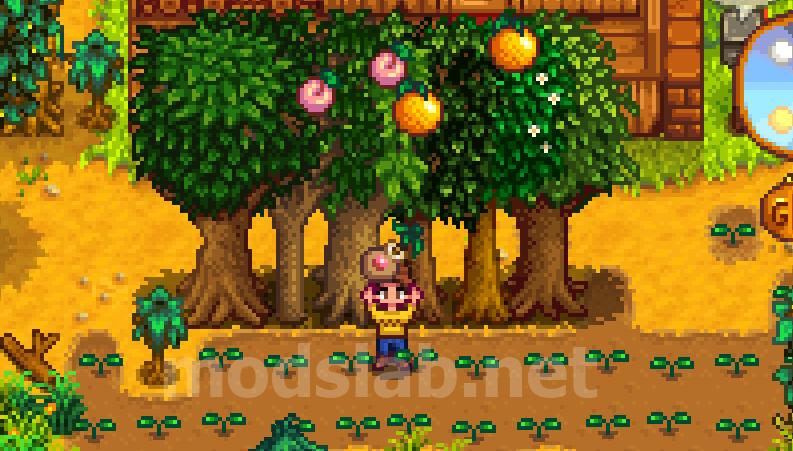 Овошје од дрво