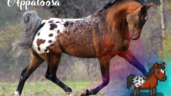 Better Horses - Улучшенные лошади