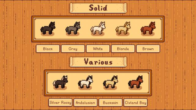 Elle’s New Horses - Новые лошади