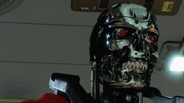 T800 Terminator Head