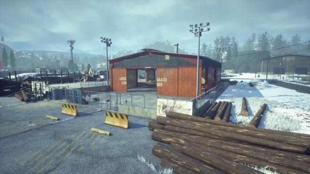 Снежный режим / Snow Mod для State Of Decay 2