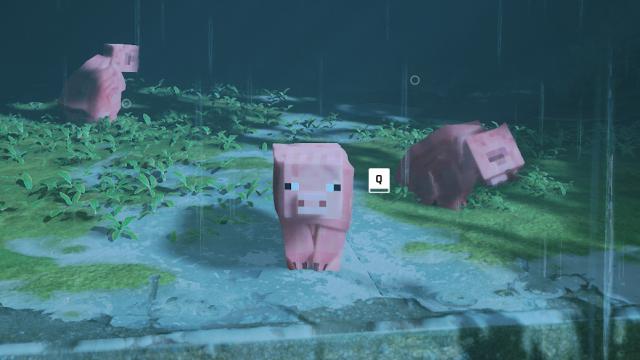 Minecraft Pig Over Stray Cat