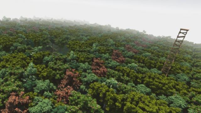 The Big Forest