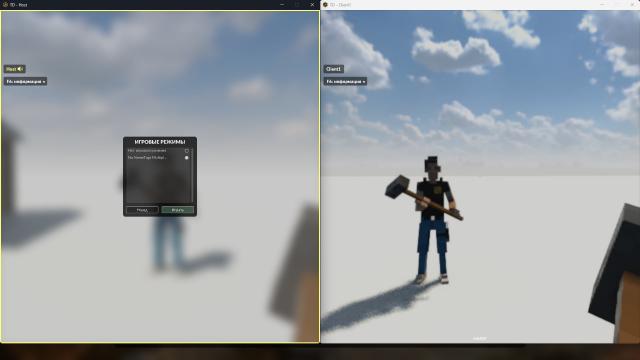[MP] Hide Multiplayer Names for Teardown