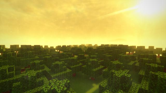 Minecraft Forest