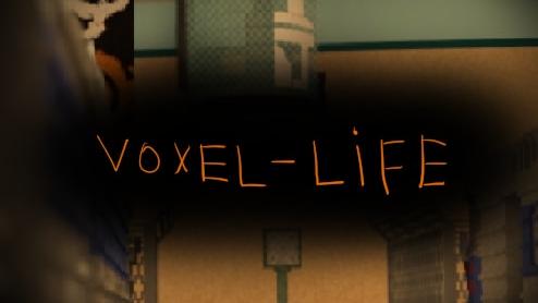 Voxel-Life 2 (Half-Life 2) для Teardown