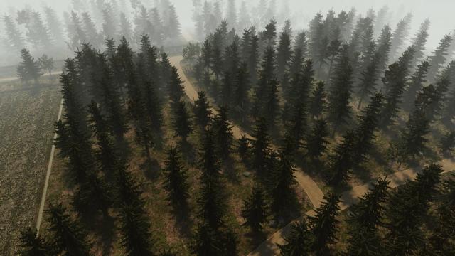 Polish Border for Teardown