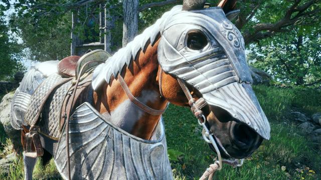 Better Horses