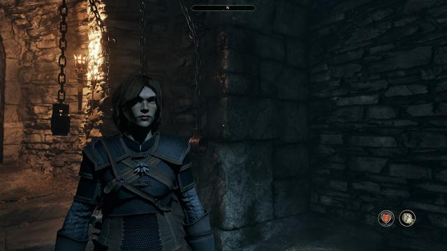 Witcher Gear for Oblivion Remastered