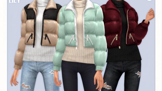 Sweater & Puffer Jacket