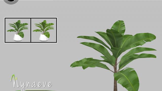 Banana Plant для The Sims 4