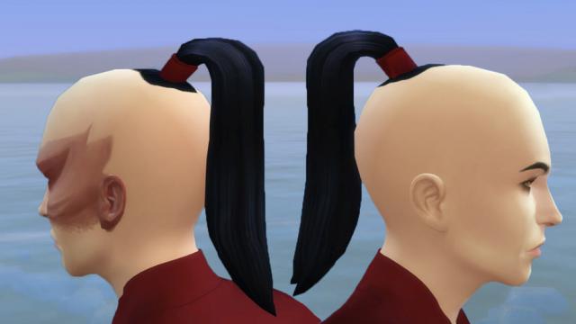 Prince Zuko's ponytail hair from 