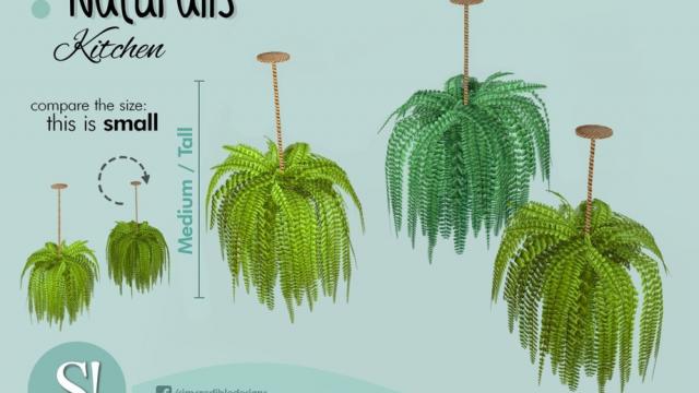 Naturalis hanging fern 2 tall for The Sims 4