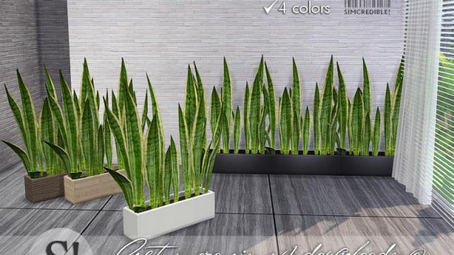 Solatium snake plant for The Sims 4