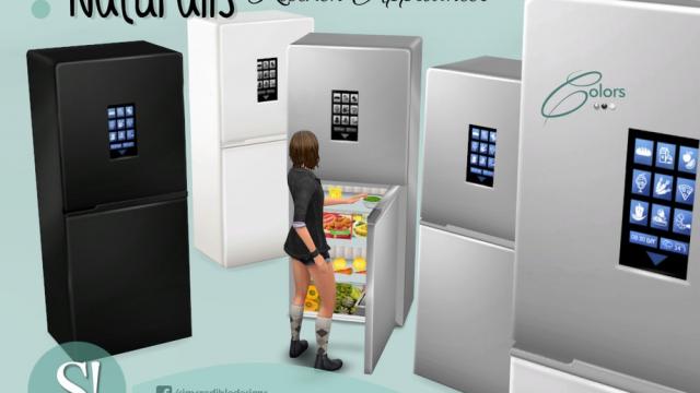 Naturalis Fridge