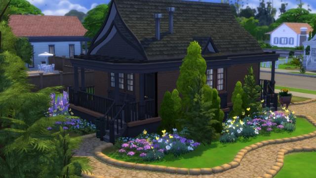 Black-brown starter for The Sims 4