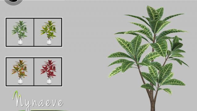 Croton Plant для The Sims 4