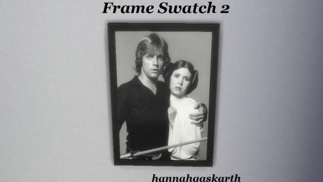 Luke and Leia Skywalker Frame for The Sims 4