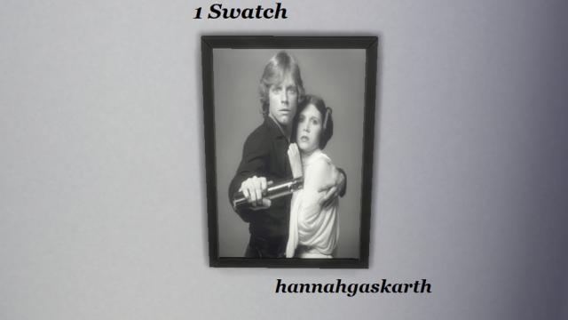 Luke and Leia Skywalker Frame for The Sims 4