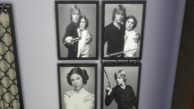 Luke and Leia Skywalker Frame for The Sims 4