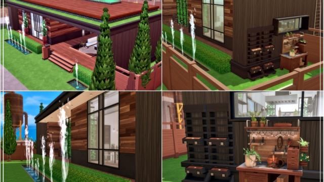 Modern Shila для The Sims 4