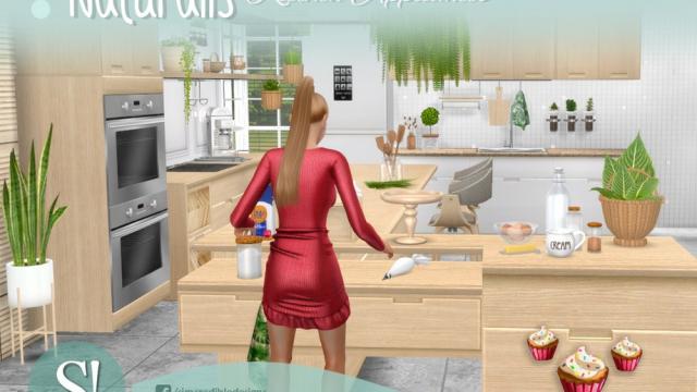 Download Naturalis Cupcake Factory For The Sims 4