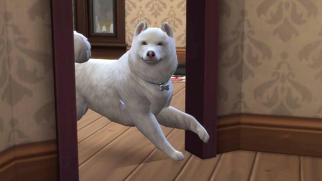 Better Behaved Pets for The Sims 4