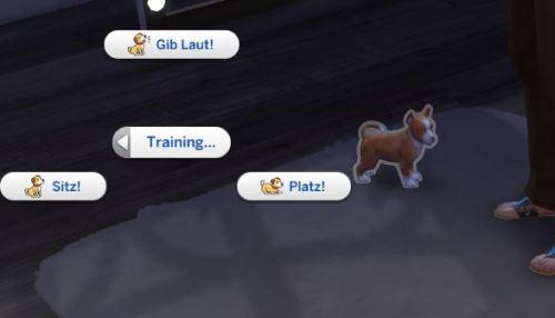 Train your Puppies for The Sims 4